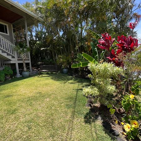 Private Ohana On The Lush Hamakua Coast With Ac Honokaa Eksteriør bilde