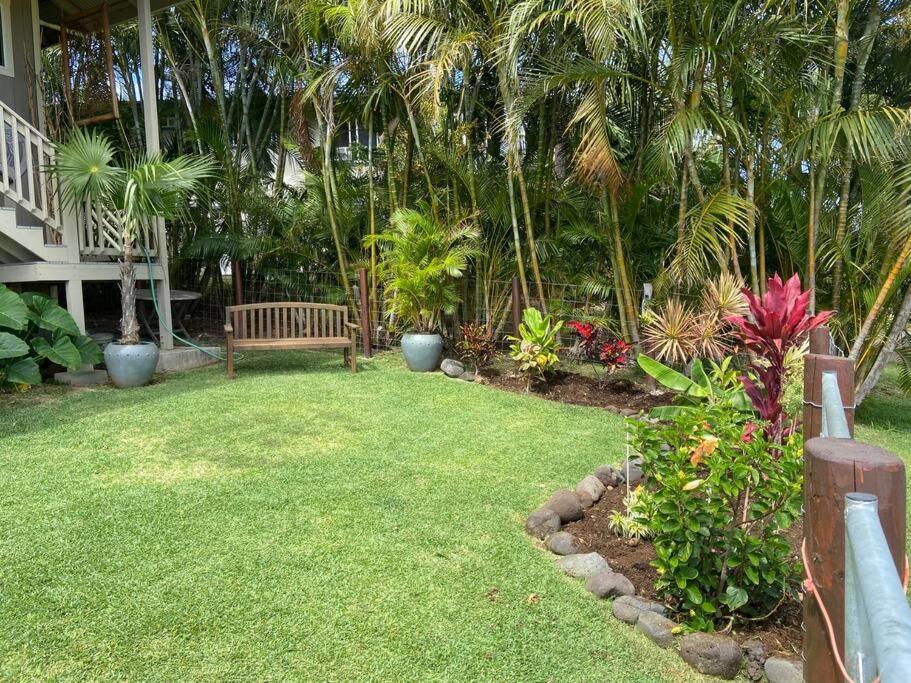 Private Ohana On The Lush Hamakua Coast With Ac Honokaa Eksteriør bilde