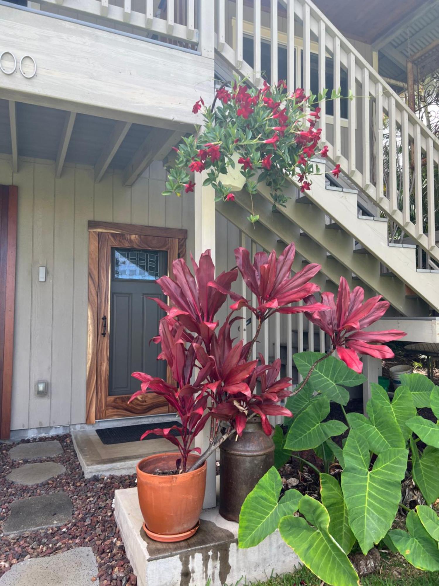 Private Ohana On The Lush Hamakua Coast With Ac Honokaa Eksteriør bilde