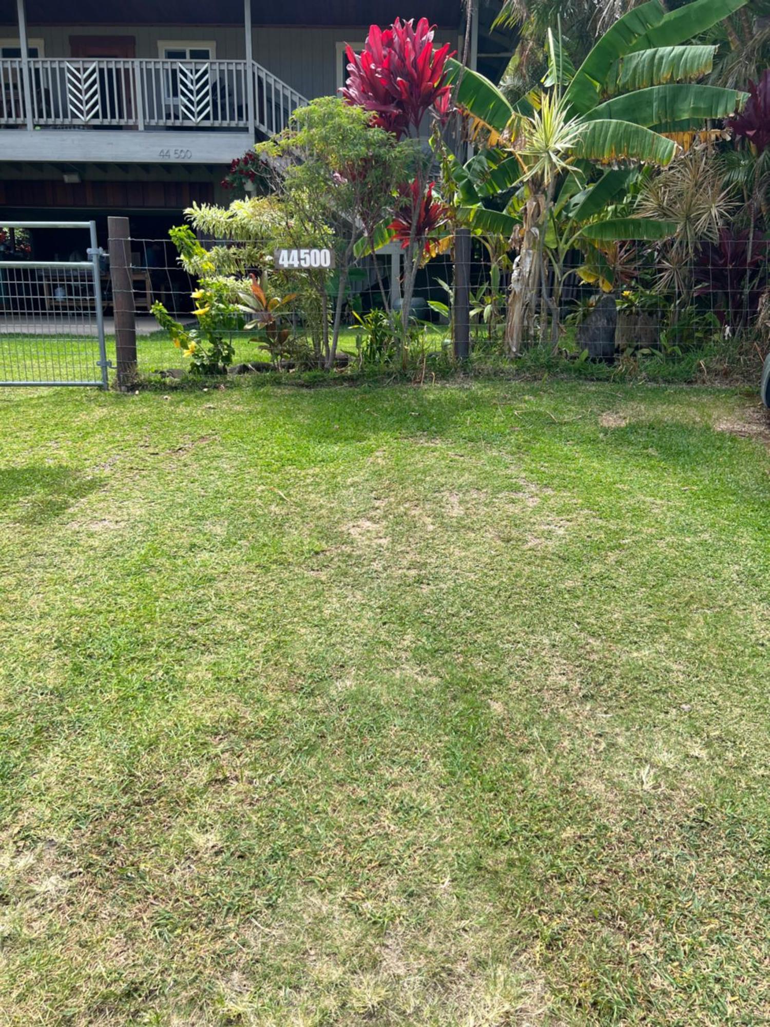 Private Ohana On The Lush Hamakua Coast With Ac Honokaa Eksteriør bilde