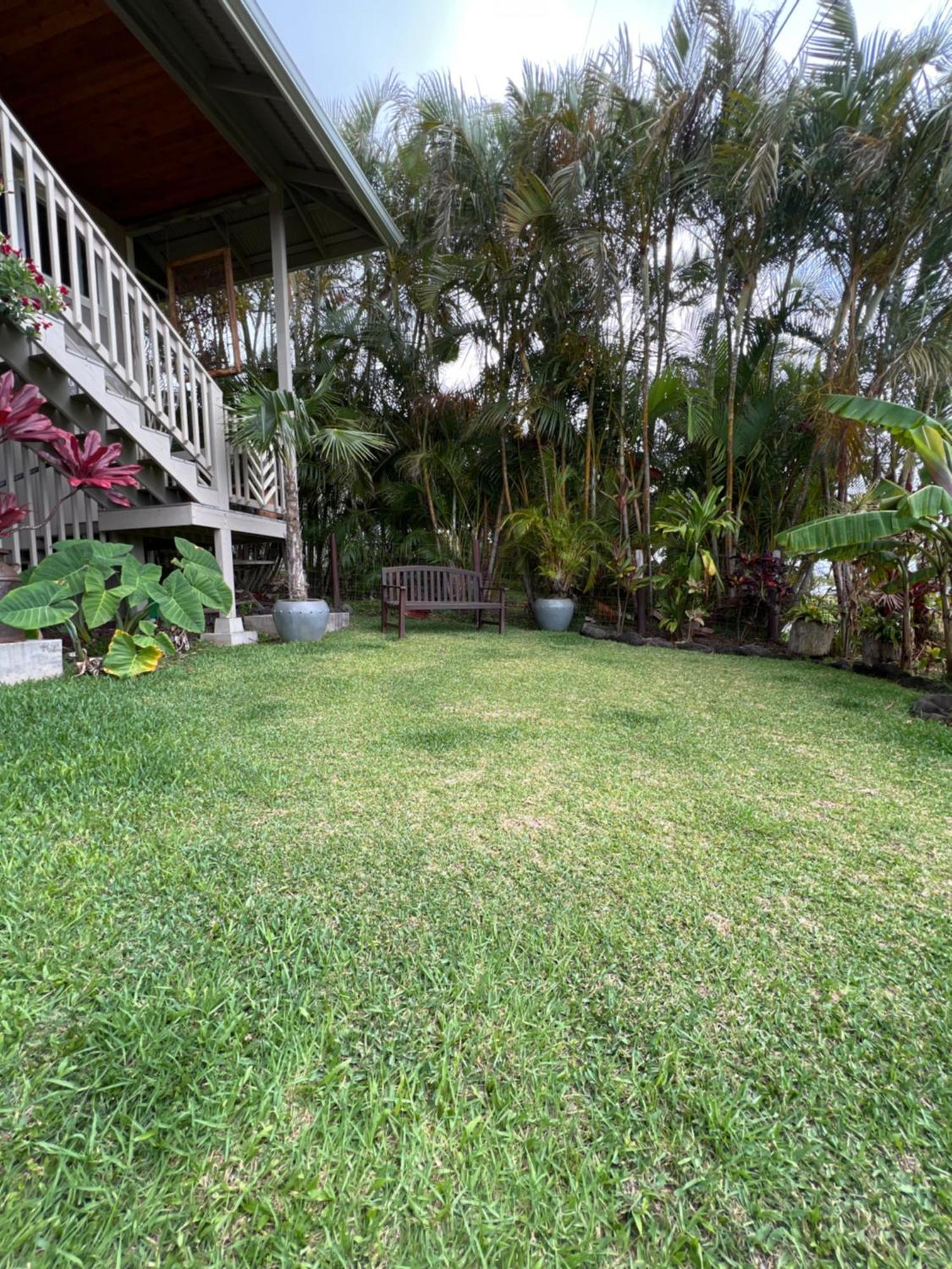 Private Ohana On The Lush Hamakua Coast With Ac Honokaa Eksteriør bilde